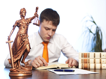 Professional Legal Services